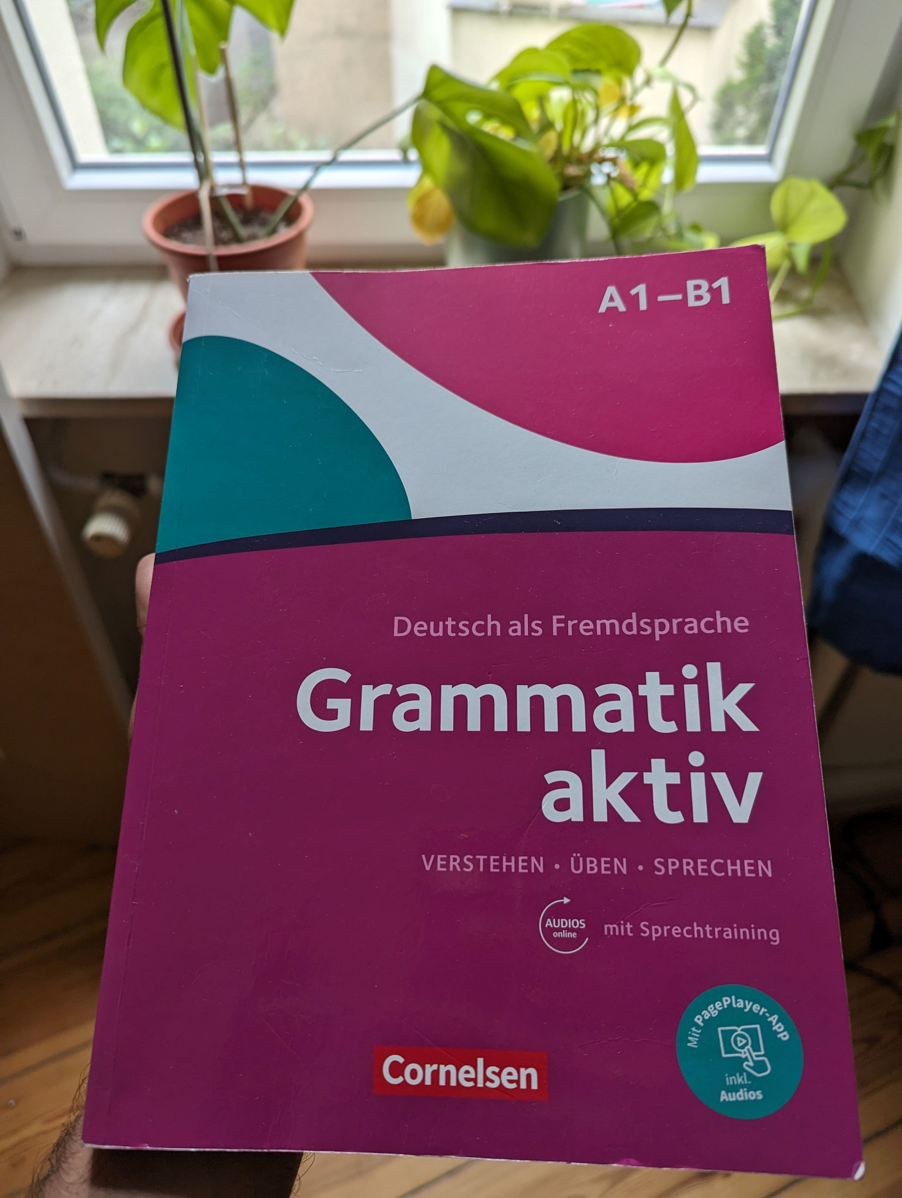 My Grammatik Aktiv A1-B1 book