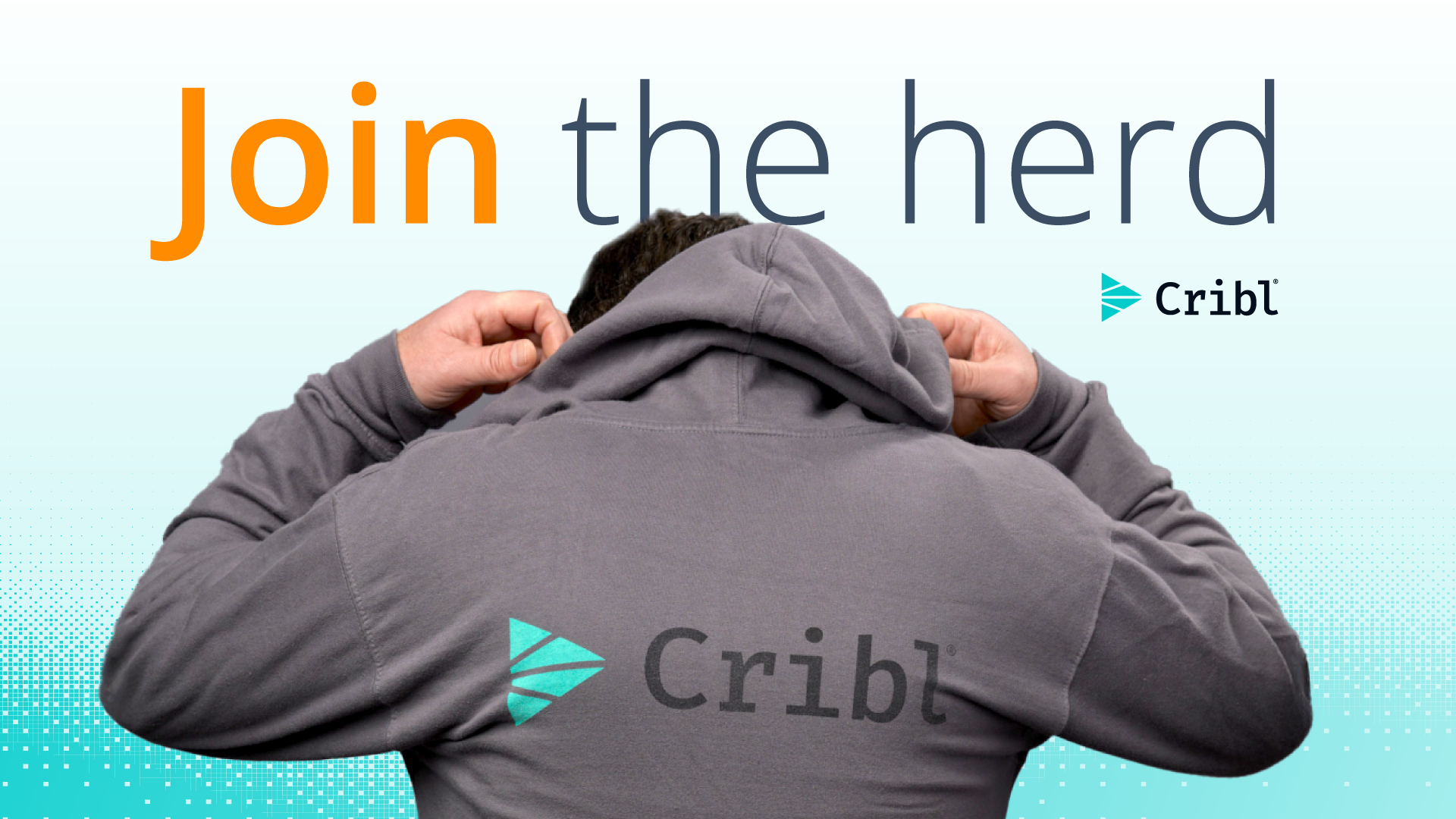 Cribl Jobs