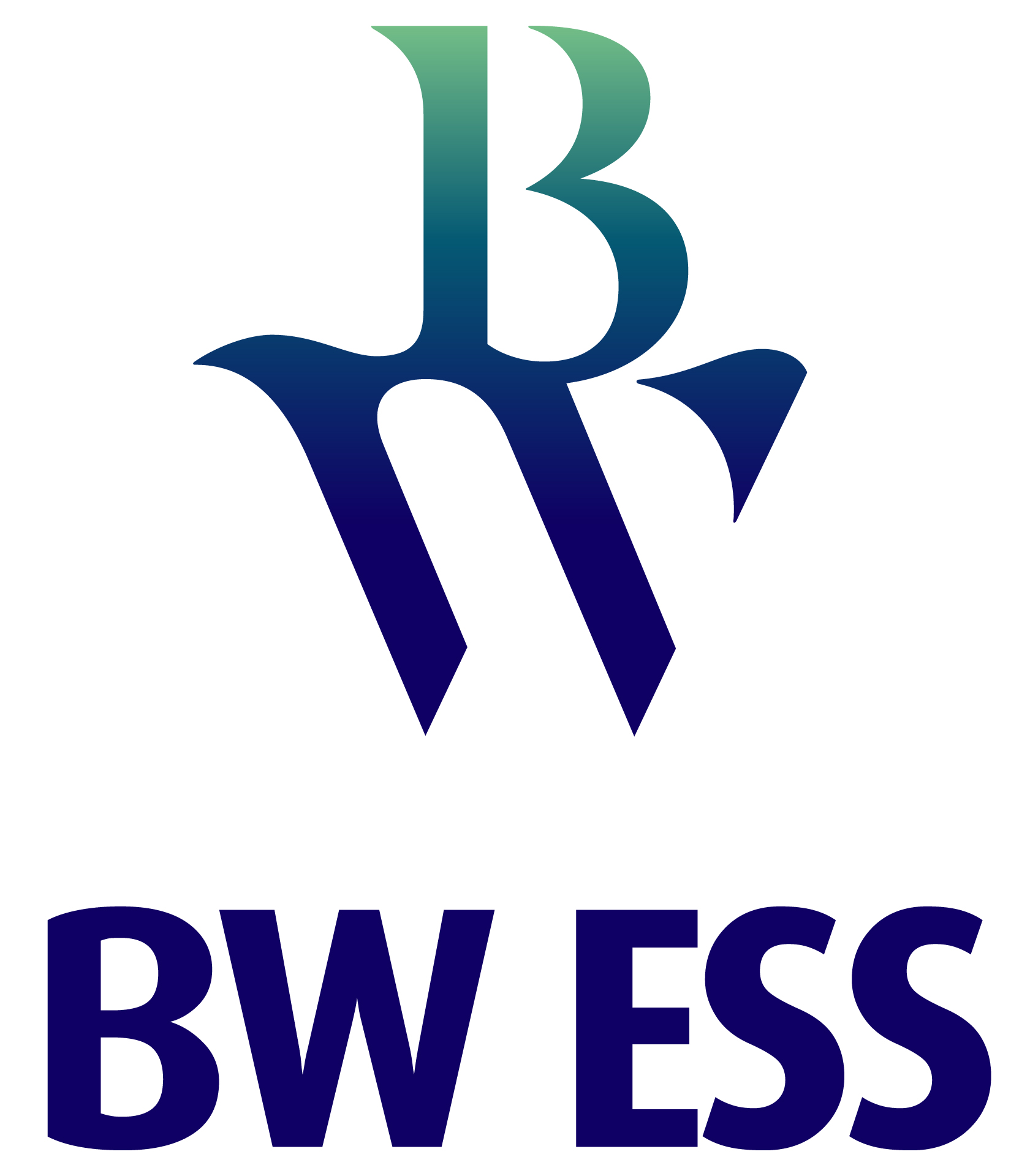 Bwessmanagementgmbh Jobs
