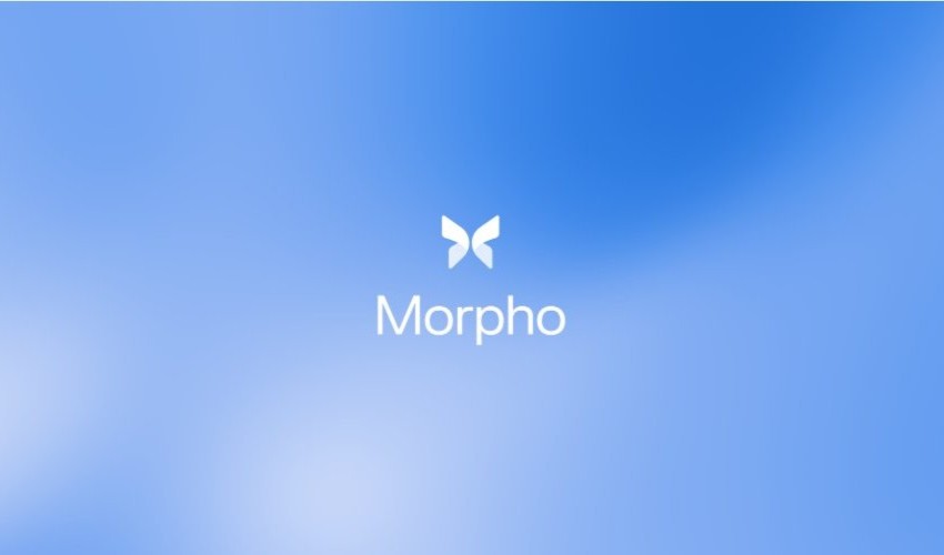 Morpho Jobs