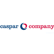 caspar consulting GmbH Jobs