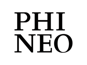 Phineo Jobs