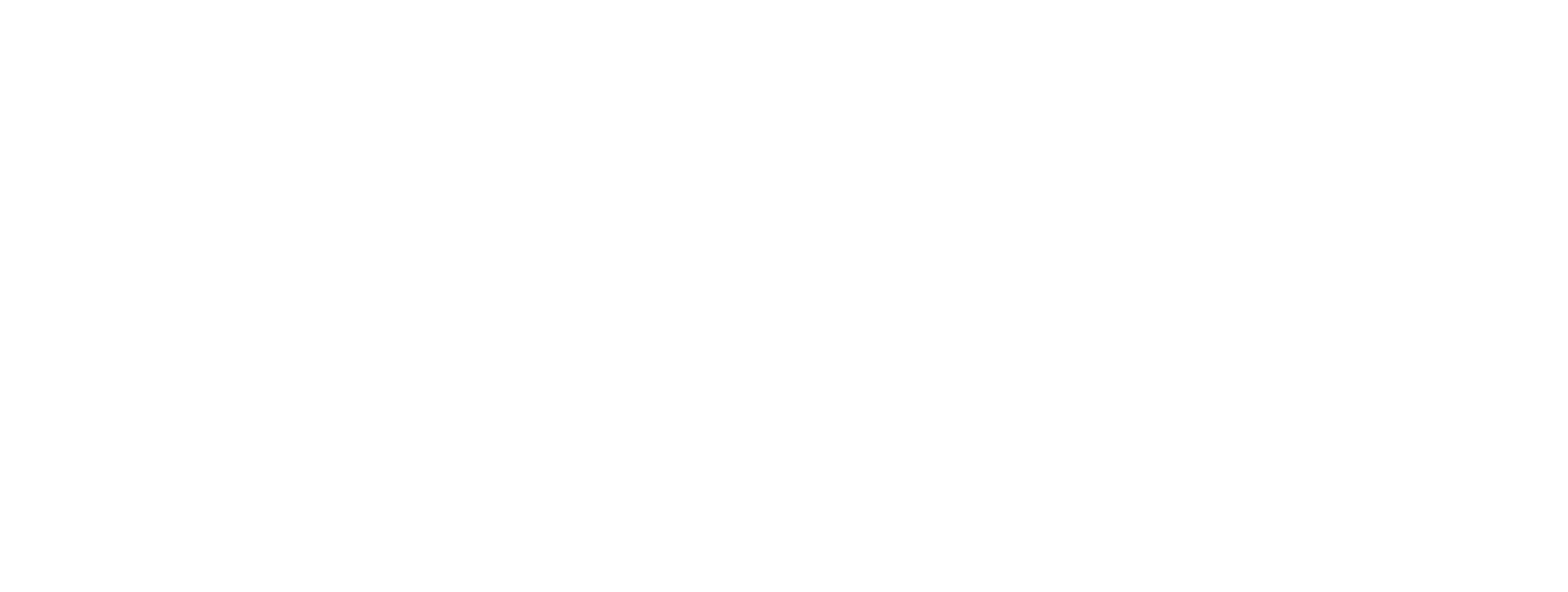 Sayari Jobs