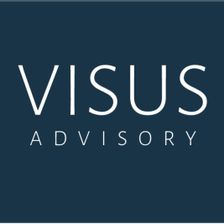 VISUS Advisory GmbH Jobs