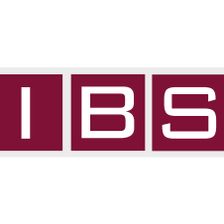 IBS Ingenieurbüro GmbH Jobs