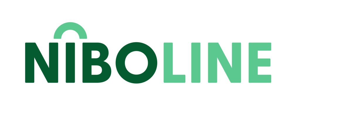 Niboline Gmbh Jobs