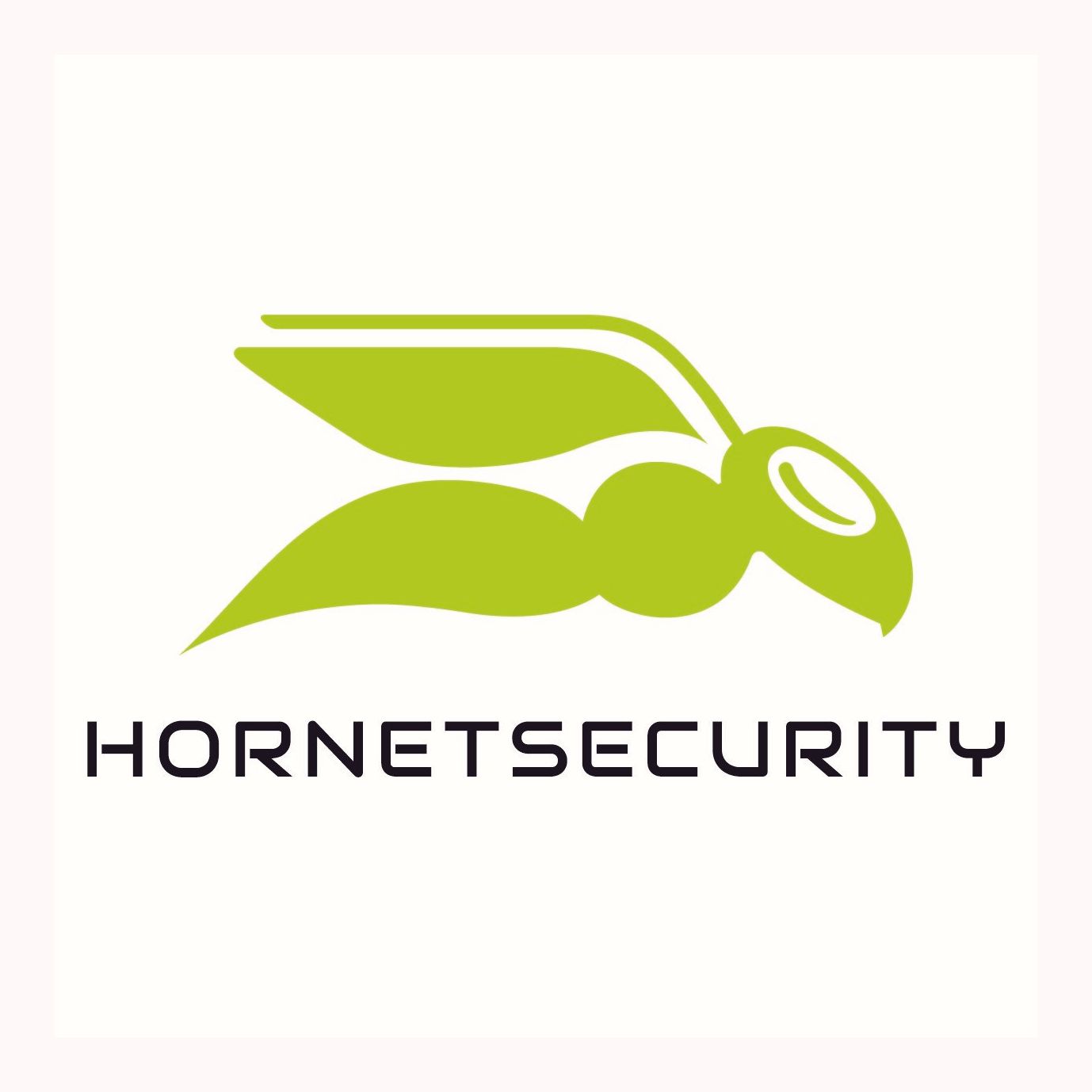 Hornetsecurity Jobs