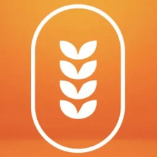 Heartland Solutions GmbH Jobs