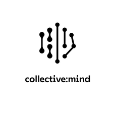 collective mind solutions GmbH Jobs
