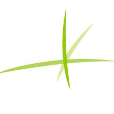 Pflanzen-Forum GmbH Jobs