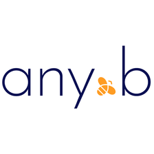 any.b Consulting GmbH Jobs