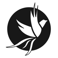 Potential² GmbH Jobs