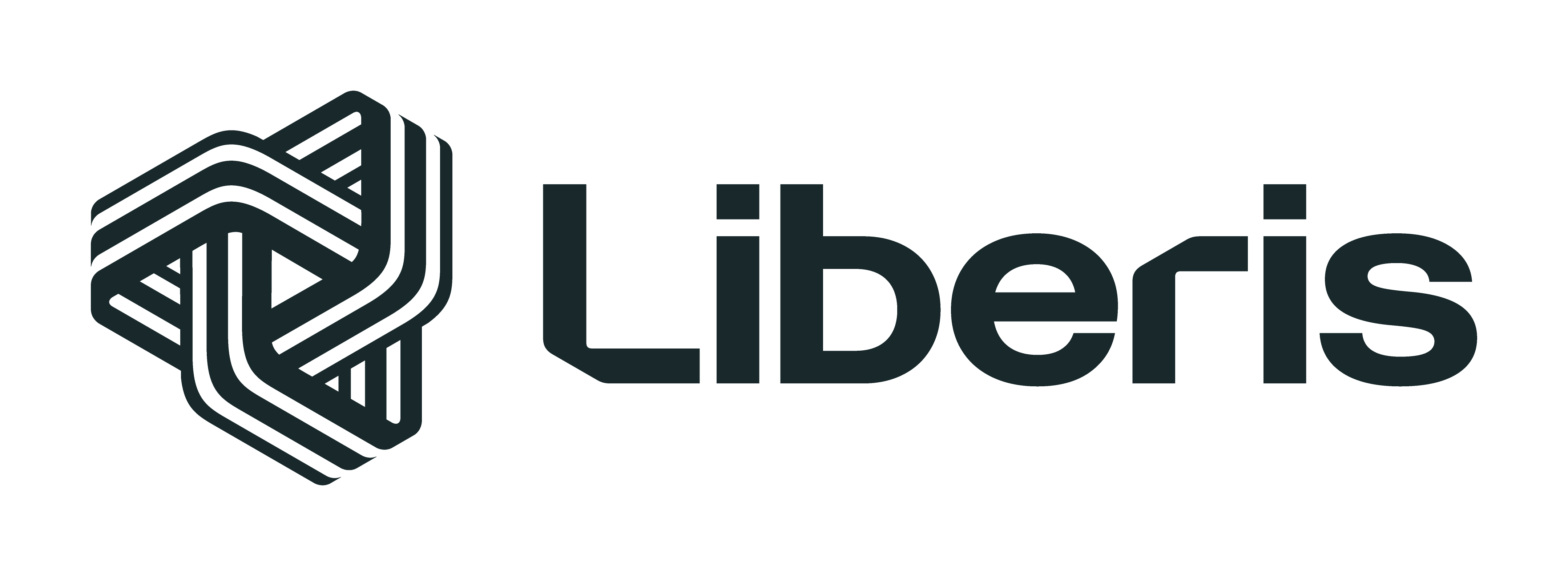 liberis Jobs