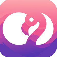 flamingo.social Jobs