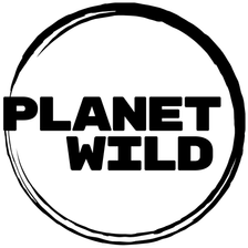 Planet Wild Jobs
