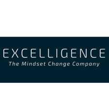 The Mindset change company Jobs