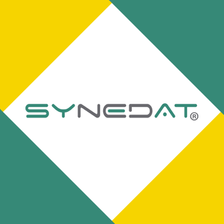Synedat Consulting GmbH Jobs