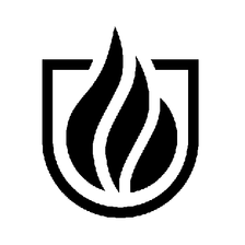 FISEGO Jobs