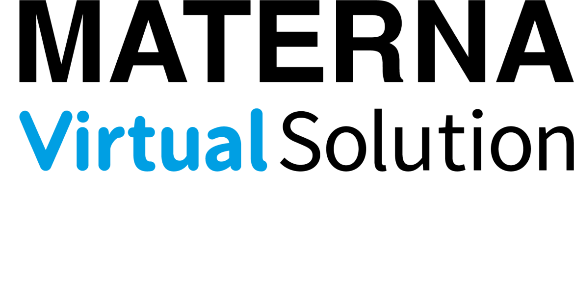 Virtual Solution Ag Jobs