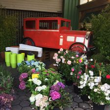 Blumenhaus Breckwoldt GmbH & Co. KG Jobs