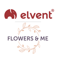 elvent Jobs
