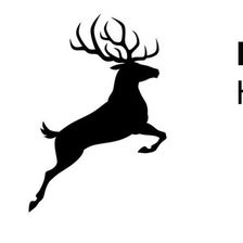 Hirsch Vermögensverwaltung Gmbh Jobs