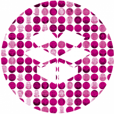 SUPPLYWEB Jobs
