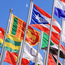 Dr.Constantin von Bernstein Jobs