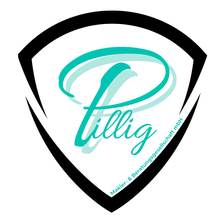 Pillig Makler- & Beratungsgesellschaft mbH Jobs