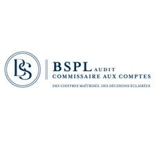 BSPL AUDIT Jobs