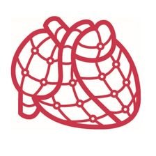 Nationales Herz-Netz (NHN) / Deutsche Gesellschaft für Kardiologie e. V. Jobs