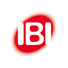 IBI - Institut für Bildung in der Informationsgesellschaft gGmbH Jobs