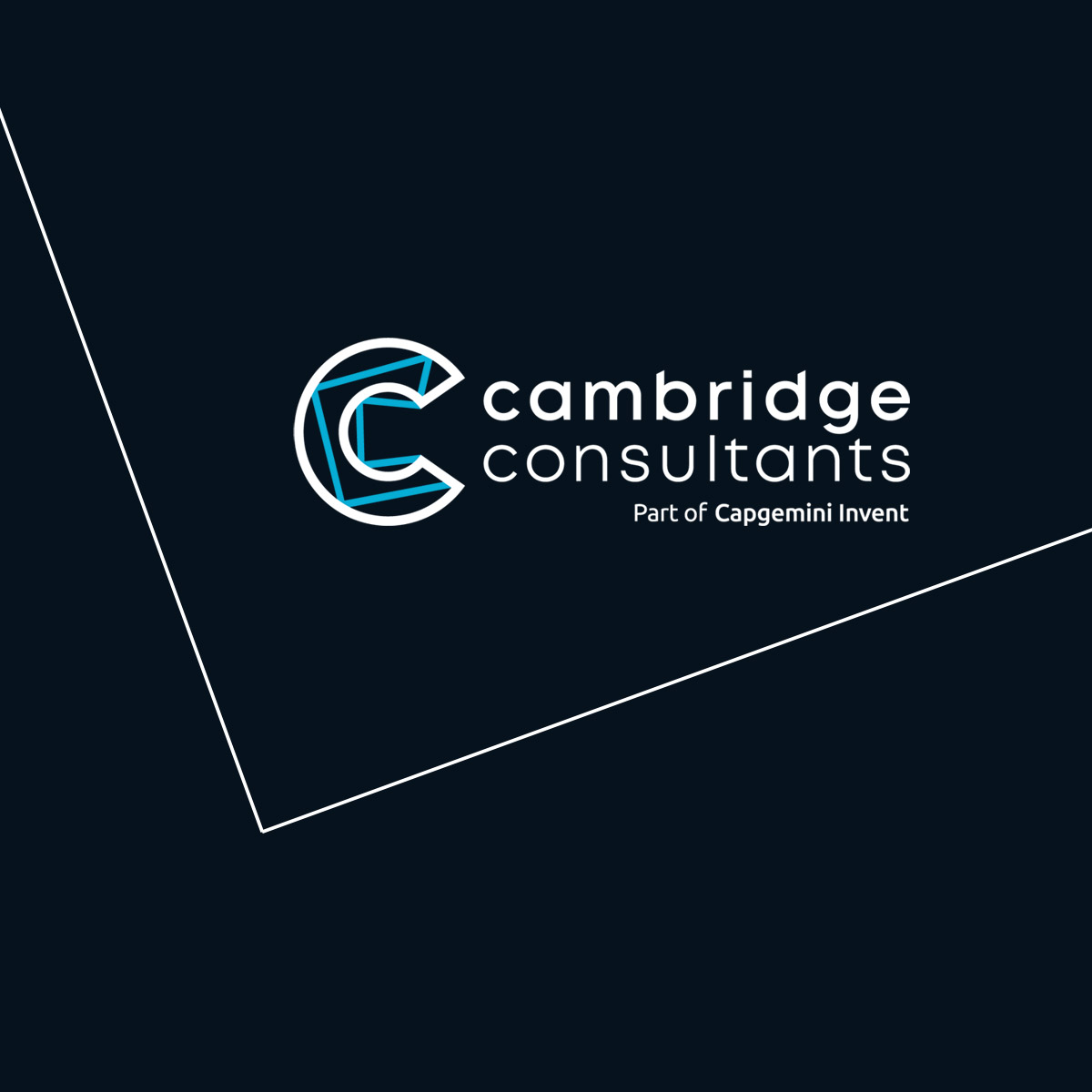 Cambridgeconsultantslimited Jobs
