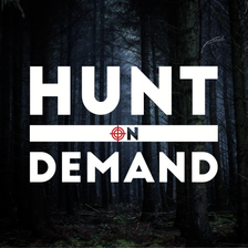 HOD Hunt on Demand GmbH Jobs